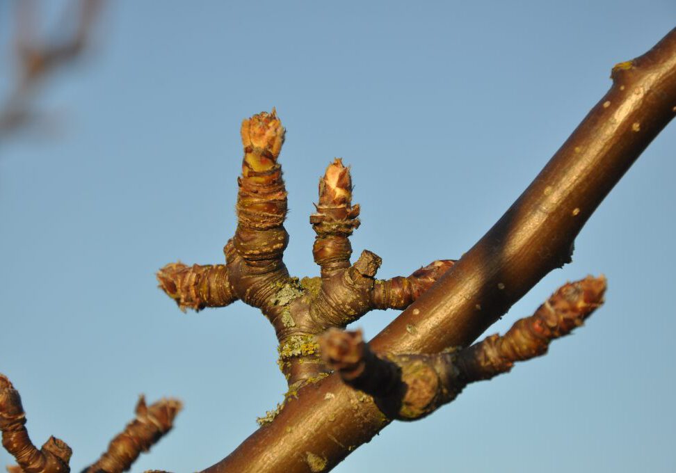 DSC_0260 DSC_0260