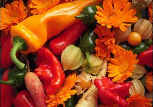 Leckere Chilli, Paprika, Physalis, Karotten und Ringelblumen Ende Oktober